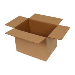 Pojedyncze Pudełko Z Tektury Falistej 20x15x15 cm